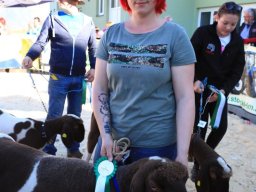 2019_ausstellung polling_694